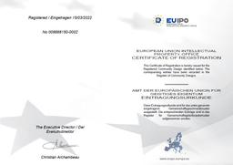 European Union Patent 2